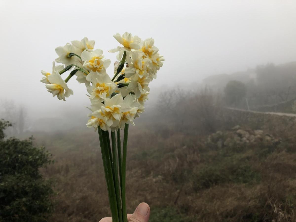 Lanzaroco, Tu Casa En La Vera Valverde de la Vera Buitenkant foto